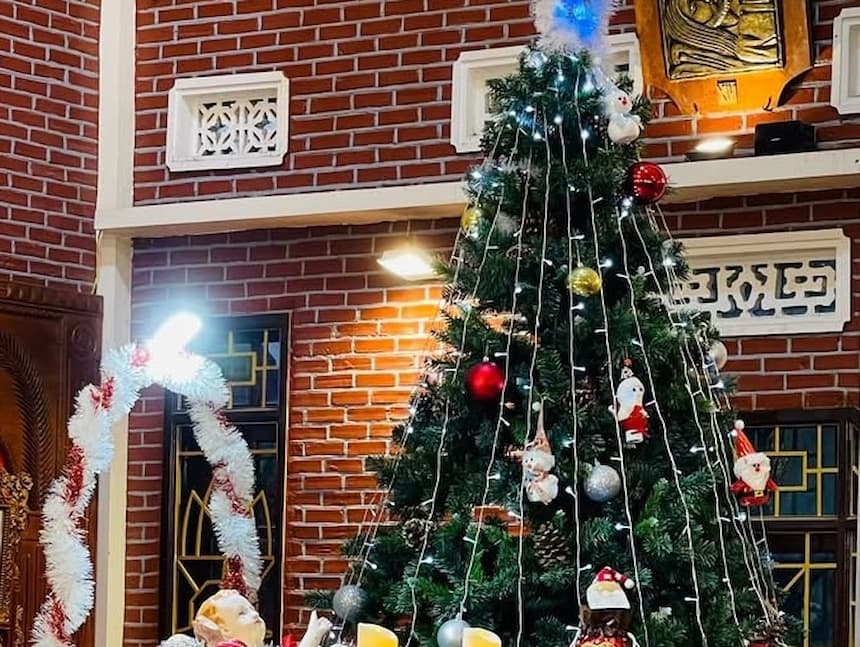 ハノイ大教会のクリスマス|ライトアップされたツリーと馬小屋の飾り