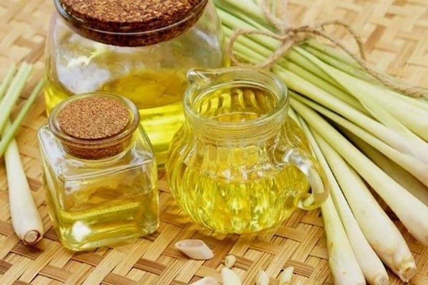 ベトナムで蚊よけに使われるレモングラス(Sả)とエッセンシャルオイル